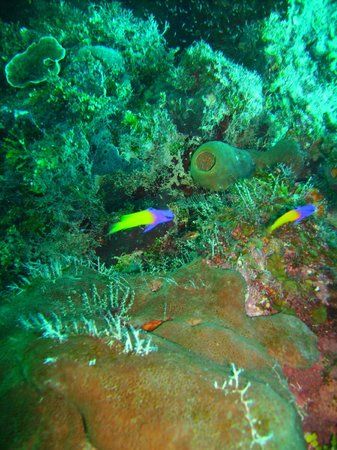 Muro de las Lamentaciones